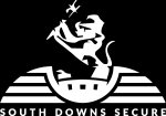 South Downs Secure - Partner with Max Bird Racing